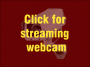 Streaming de Video